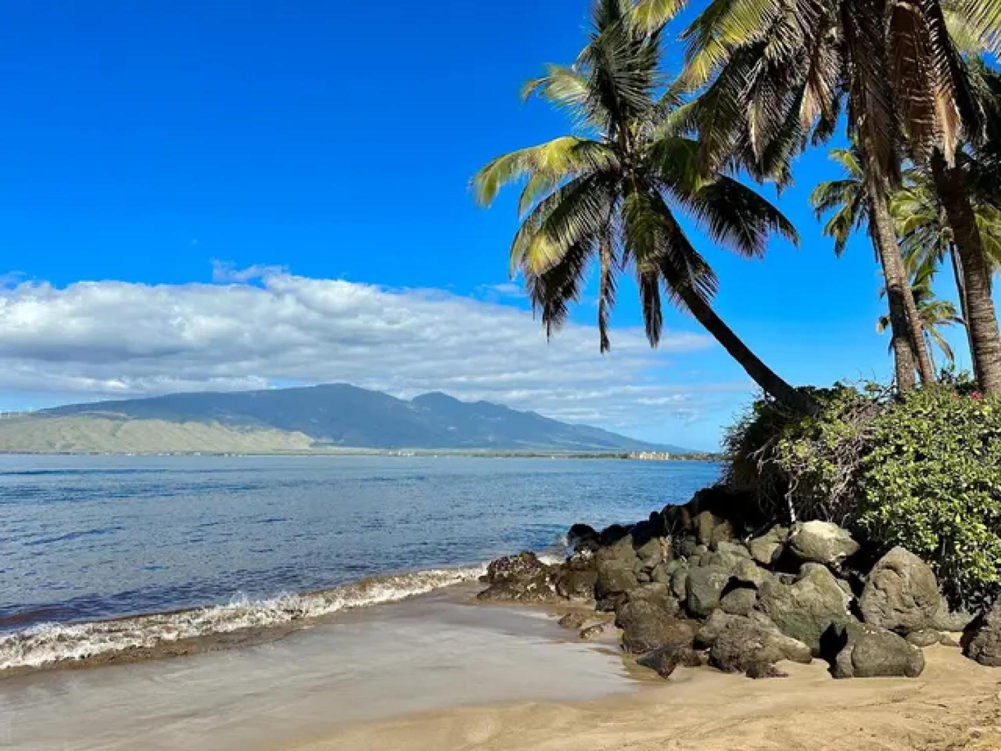 3Mins Walk To Beach! Laundry, Pool, Hot Tub & More Kīhei Exterior foto